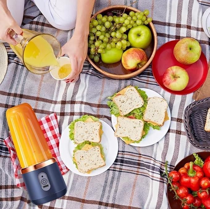 Best compact portable juicer blending fresh orange juice on picnic blanket with fruits and sandwiches