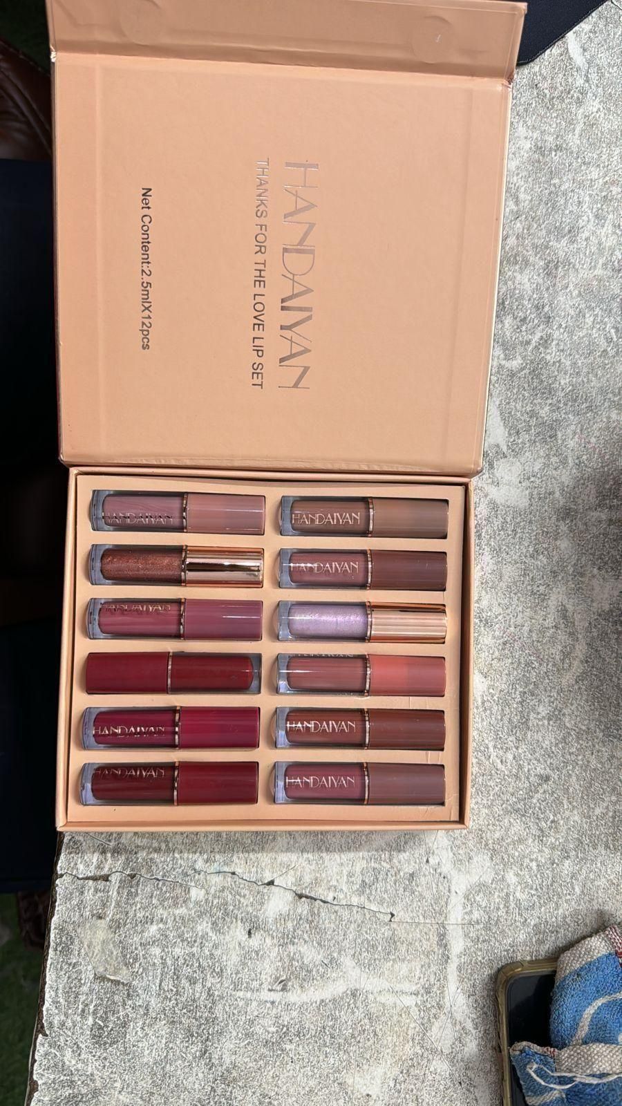 handaiyan lip set with 12 shades of long lasting lipstick for Indian skin in a beige box