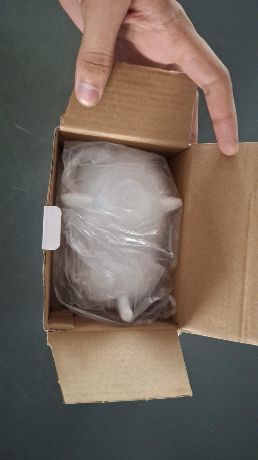 Unboxing cute silicone animal night lamp wrapped in plastic inside a brown cardboard box