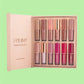 set of 12 handaiyan lipsticks in various shades long lasting lipstick for Indian skin