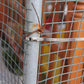 Stainless steel cable lock ties pack of 10 securing wire mesh fence to metal pole